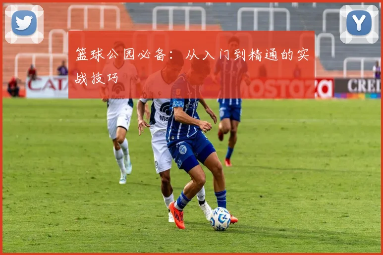 篮球公园必备:从入门到精通的实战技巧