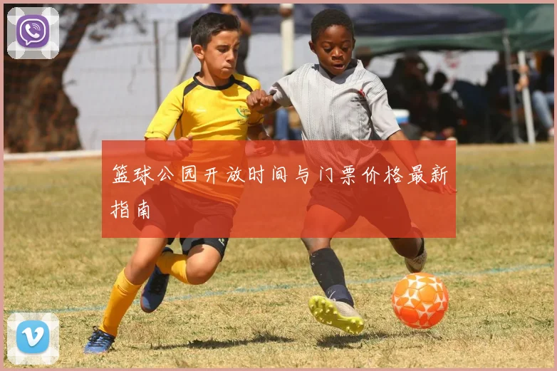 篮球公园开放时间与门票价格最新指南