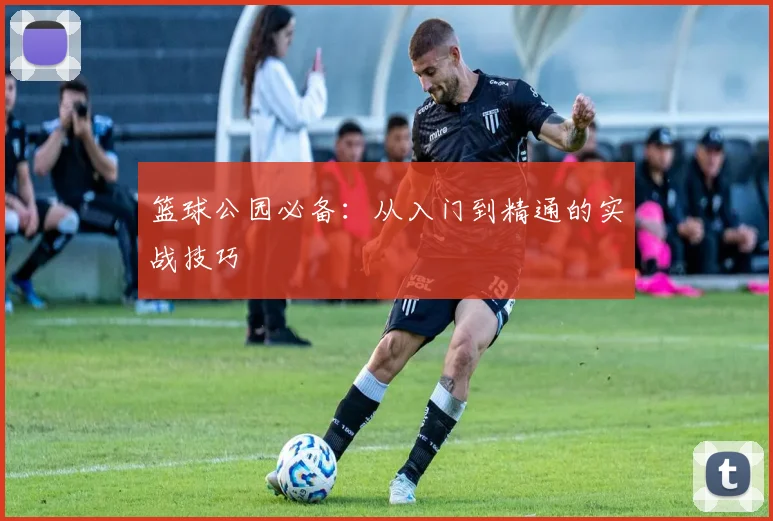 篮球公园必备：从入门到精通的实战技巧
